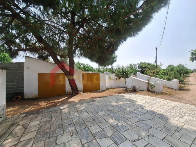 Quinta T4 para Venda em São Bras e São Lourenço Foto 31