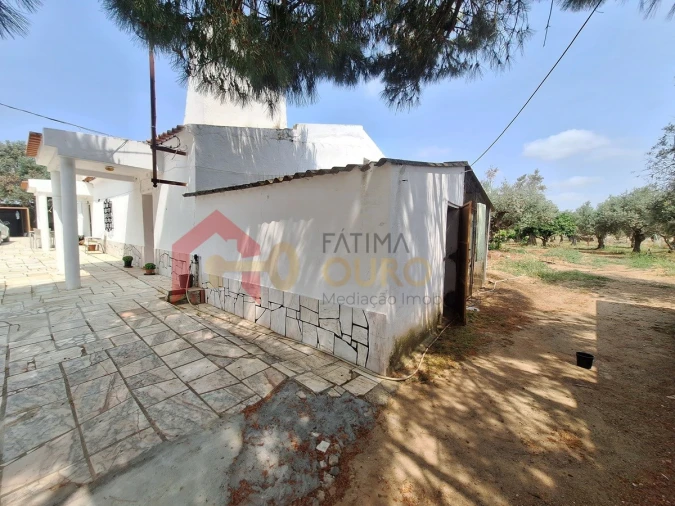 Quinta T4 para Venda em São Bras e São Lourenço Foto 32