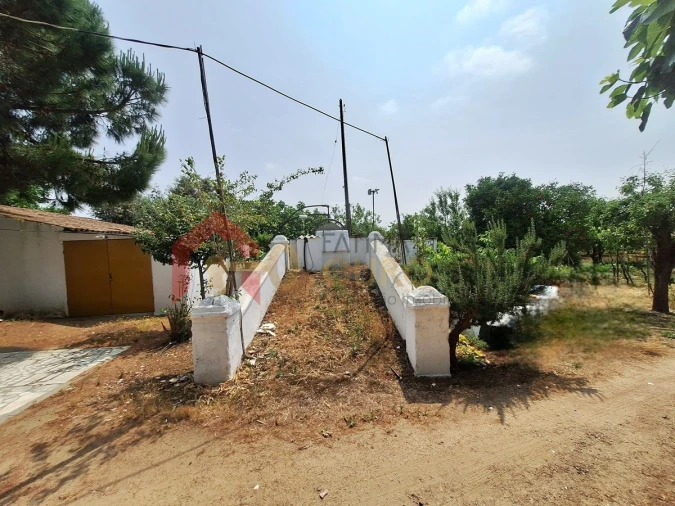 Quinta T4 para Venda em São Bras e São Lourenço Foto 36