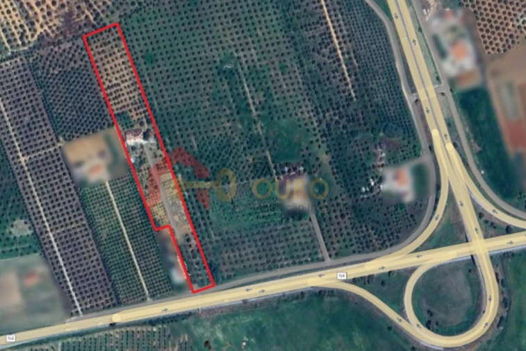 Quinta T4 para Venda em São Bras e São Lourenço Foto 48