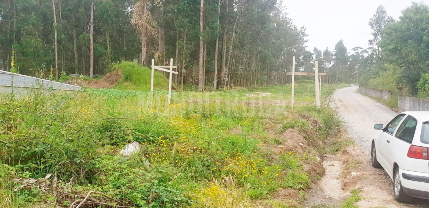 Terreno para Venda em Perelhal Foto 4