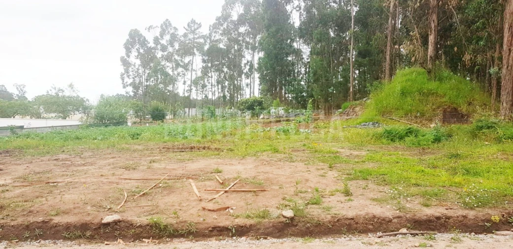 Terreno para Venda em Perelhal Foto 6