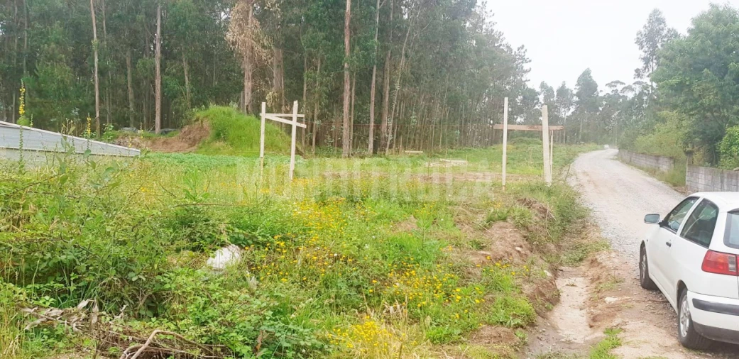 Terreno para Venda em Perelhal Foto 7