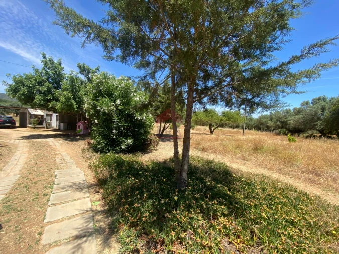 Terreno Agricola ou Rústico para Venda em Conceição e Estoi Foto 6