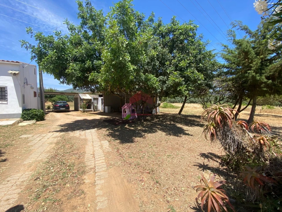 Terreno Agricola ou Rústico para Venda em Conceição e Estoi Foto 7
