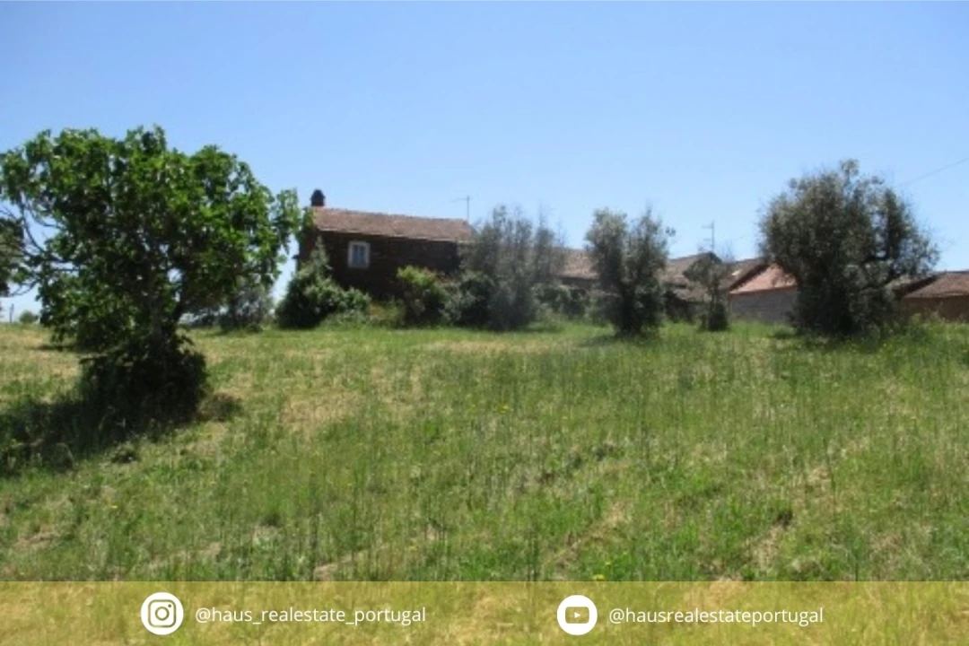 Moradia T2 para Venda em Sarzedas Foto 1