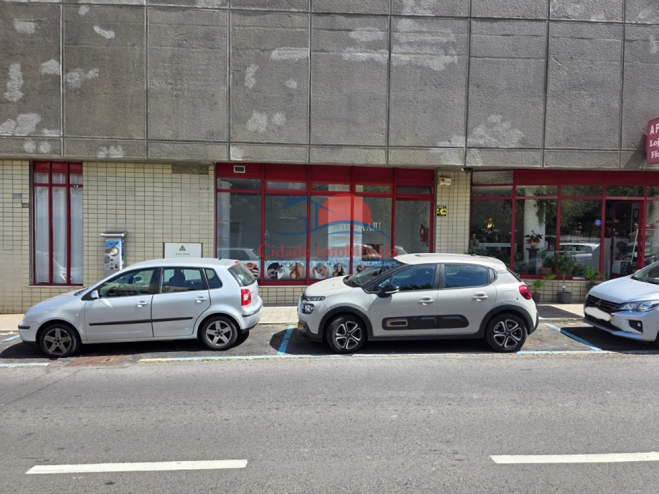 Loja para Venda em São Martinho Foto 15