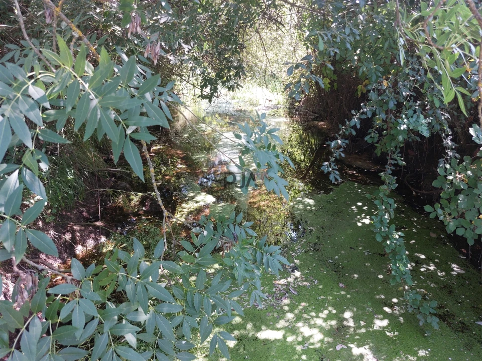 Moradia T6 para Venda em São Pedro e Santa Maria e Vila Boa do Mondego Foto 26