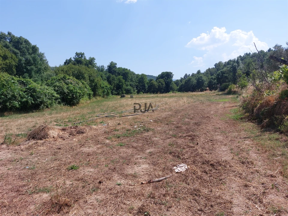 Moradia T6 para Venda em São Pedro e Santa Maria e Vila Boa do Mondego Foto 16