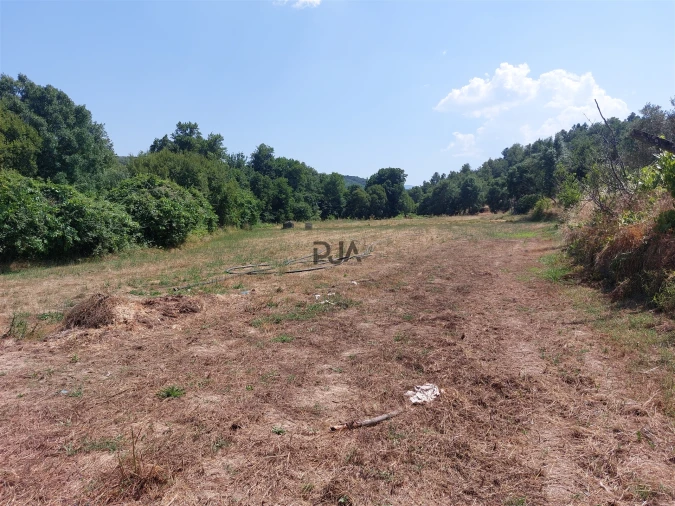 Moradia T6 para Venda em São Pedro e Santa Maria e Vila Boa do Mondego Foto 16