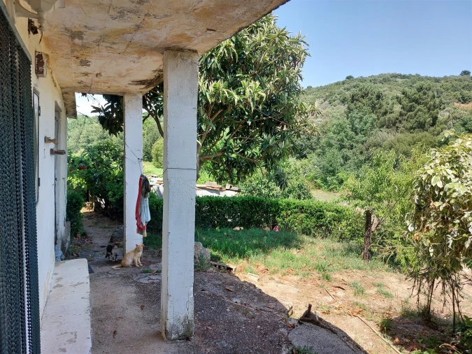 Moradia T6 para Venda em São Pedro e Santa Maria e Vila Boa do Mondego Foto 20