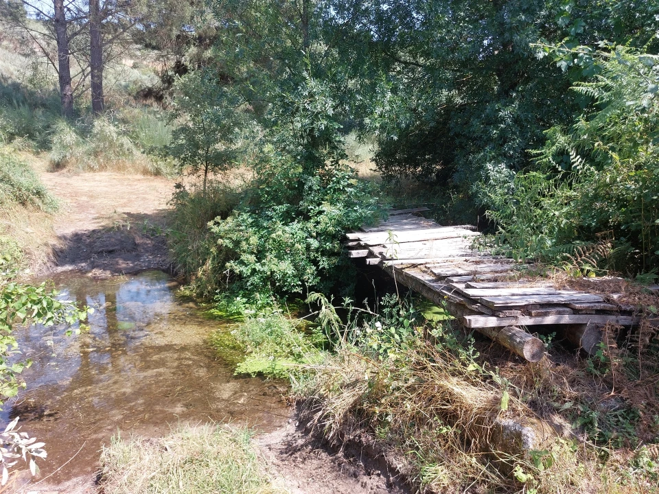 Moradia T6 para Venda em São Pedro e Santa Maria e Vila Boa do Mondego Foto 24