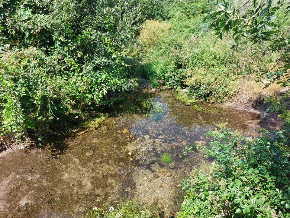 Moradia T6 para Venda em São Pedro e Santa Maria e Vila Boa do Mondego Foto 25