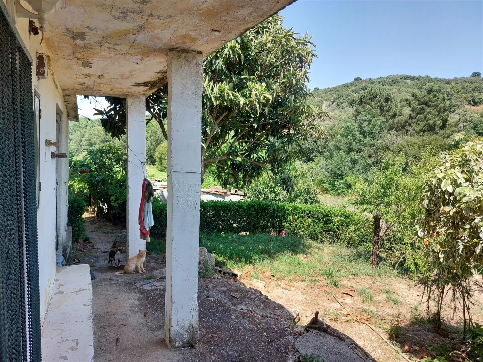 Moradia T6 para Venda em São Pedro e Santa Maria e Vila Boa do Mondego Foto 20