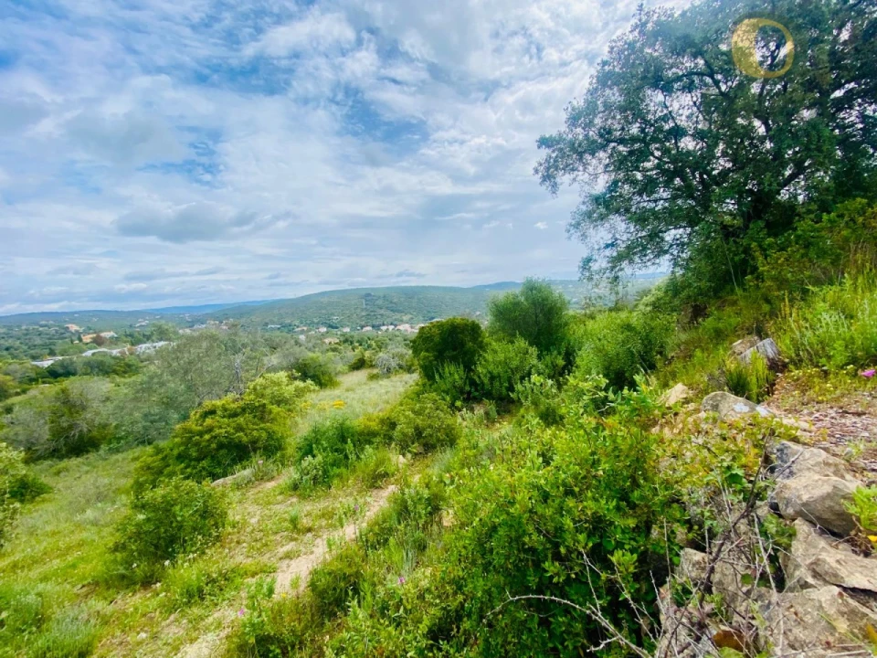Terreno para Venda em Loule (São Sebastião) Foto 1