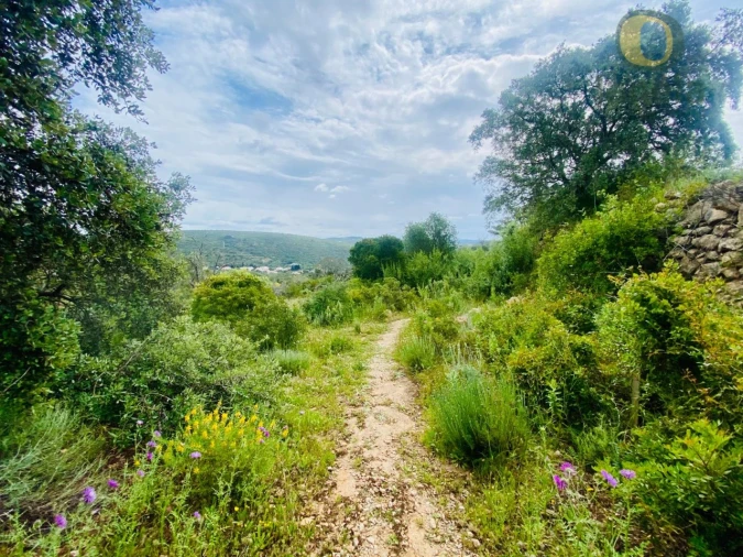 Terreno para Venda em Loule (São Sebastião) Foto 3