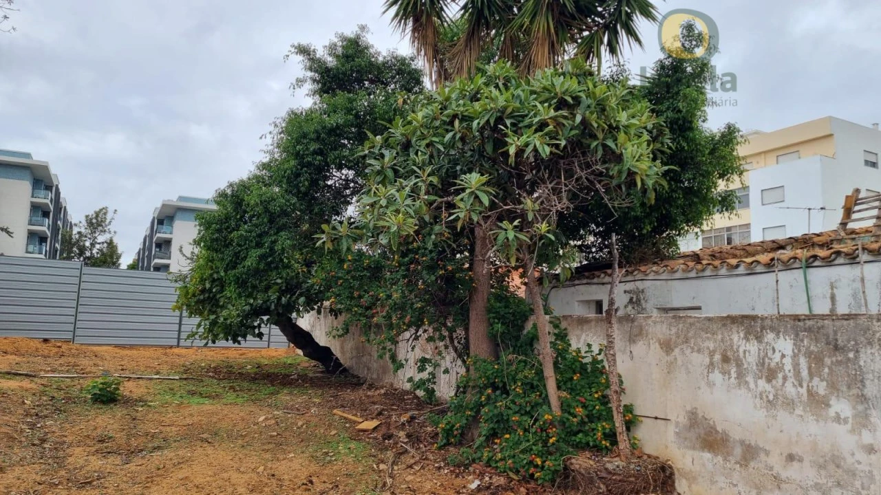 Terreno para Venda em Faro (Sé e São Pedro) Foto 8