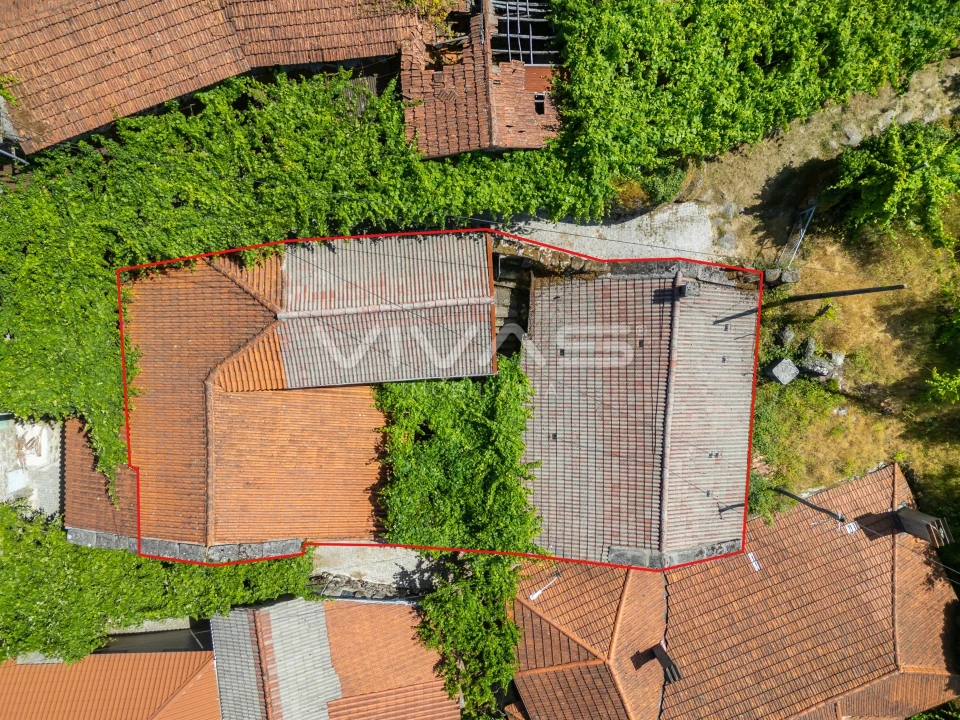 Moradia T0 para Venda em Chamoim e Vilar Foto 5