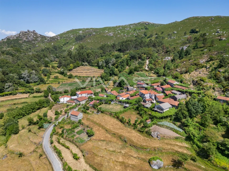 Moradia T0 para Venda em Chamoim e Vilar Foto 21