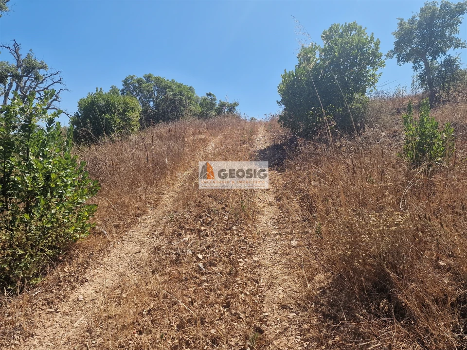 Terreno Agricola ou Rústico para Venda em Santana da Serra Foto 3
