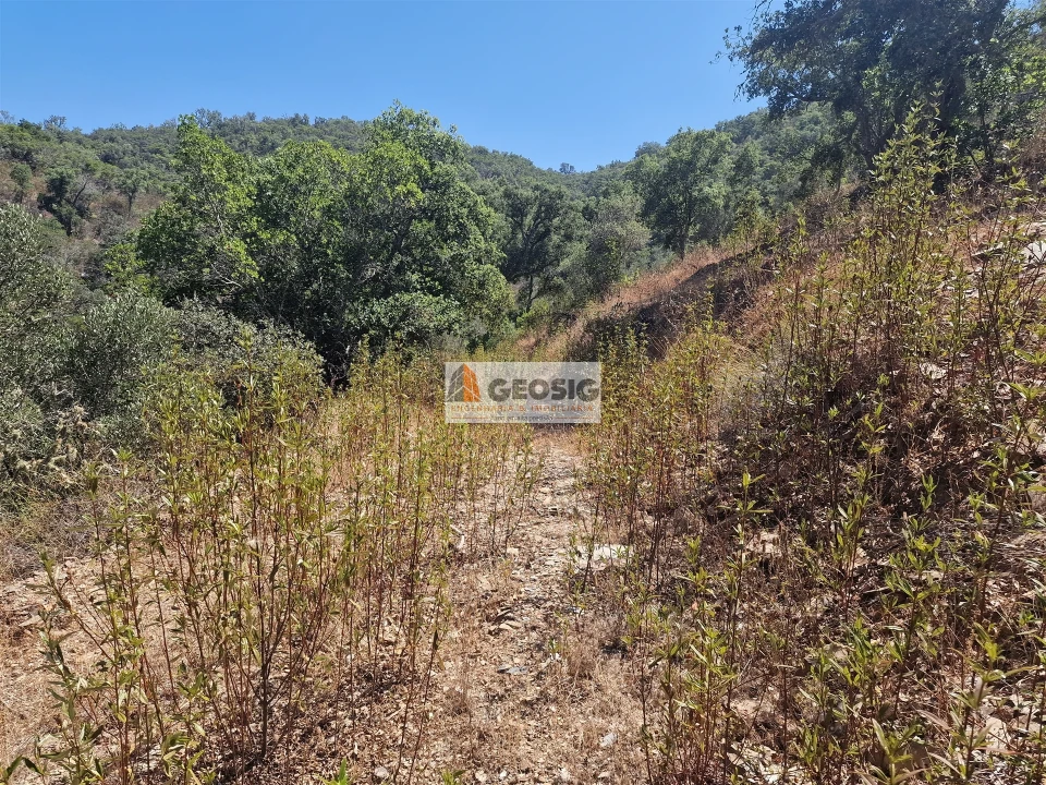 Terreno Agricola ou Rústico para Venda em Santana da Serra Foto 14