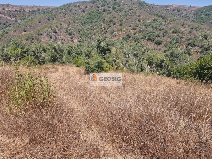 Terreno Agricola ou Rústico para Venda em Santana da Serra Foto 4