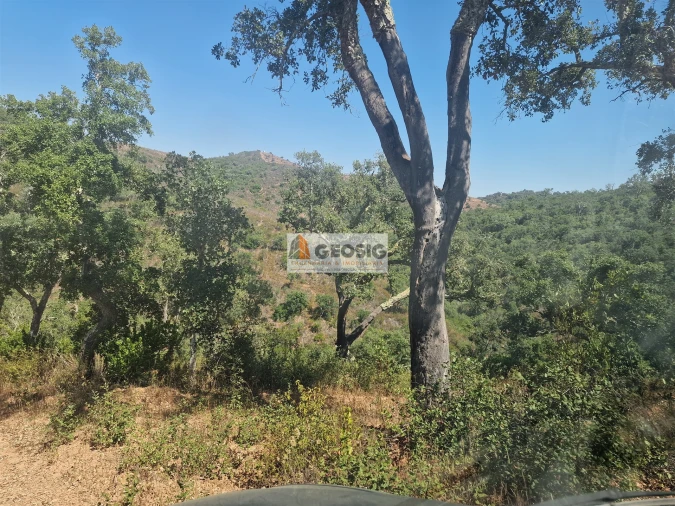 Terreno Agricola ou Rústico para Venda em Santana da Serra Foto 8