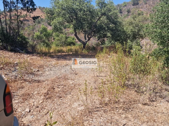 Terreno Agricola ou Rústico para Venda em Santana da Serra Foto 15