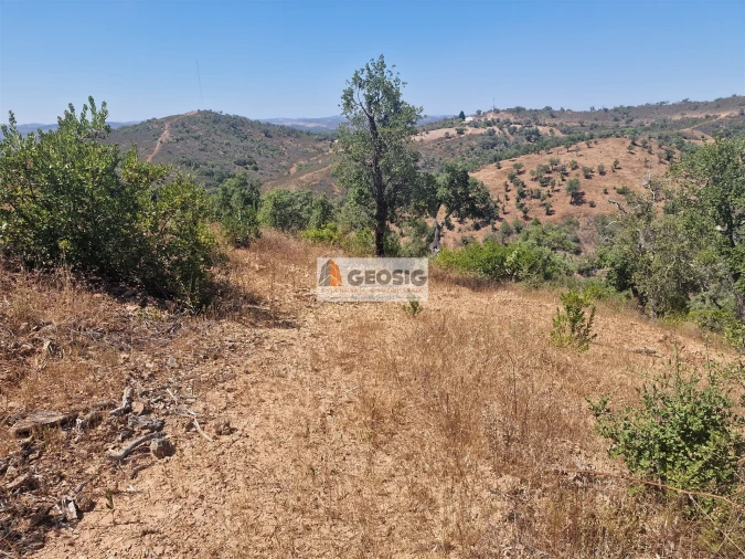 Terreno Agricola ou Rústico para Venda em Santana da Serra Foto 1