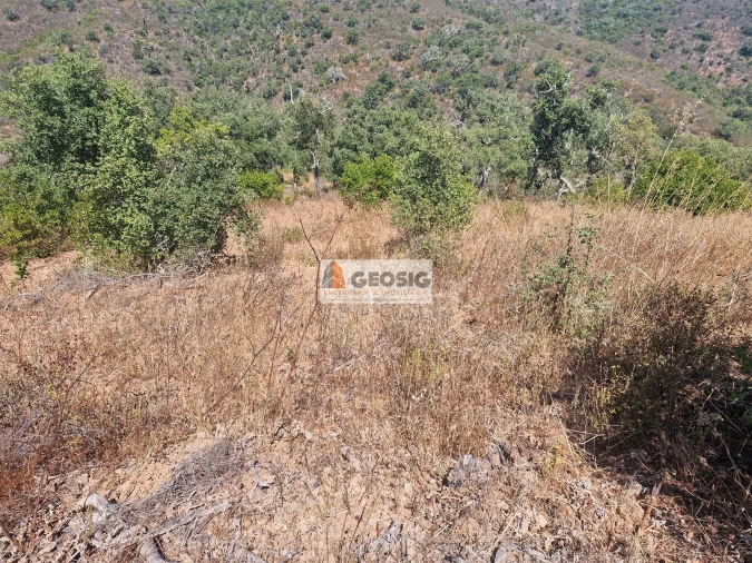 Terreno Agricola ou Rústico para Venda em Santana da Serra Foto 5
