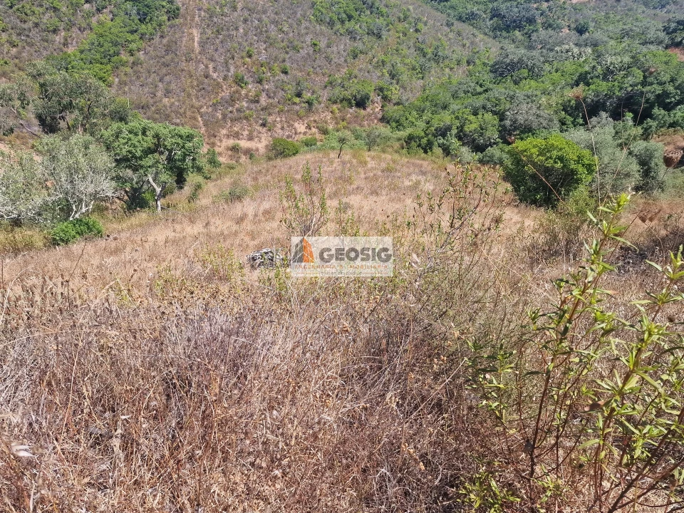 Terreno Agricola ou Rústico para Venda em Santana da Serra Foto 8