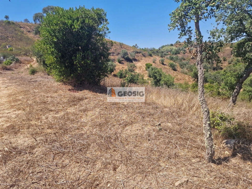 Terreno Agricola ou Rústico para Venda em Santana da Serra Foto 11