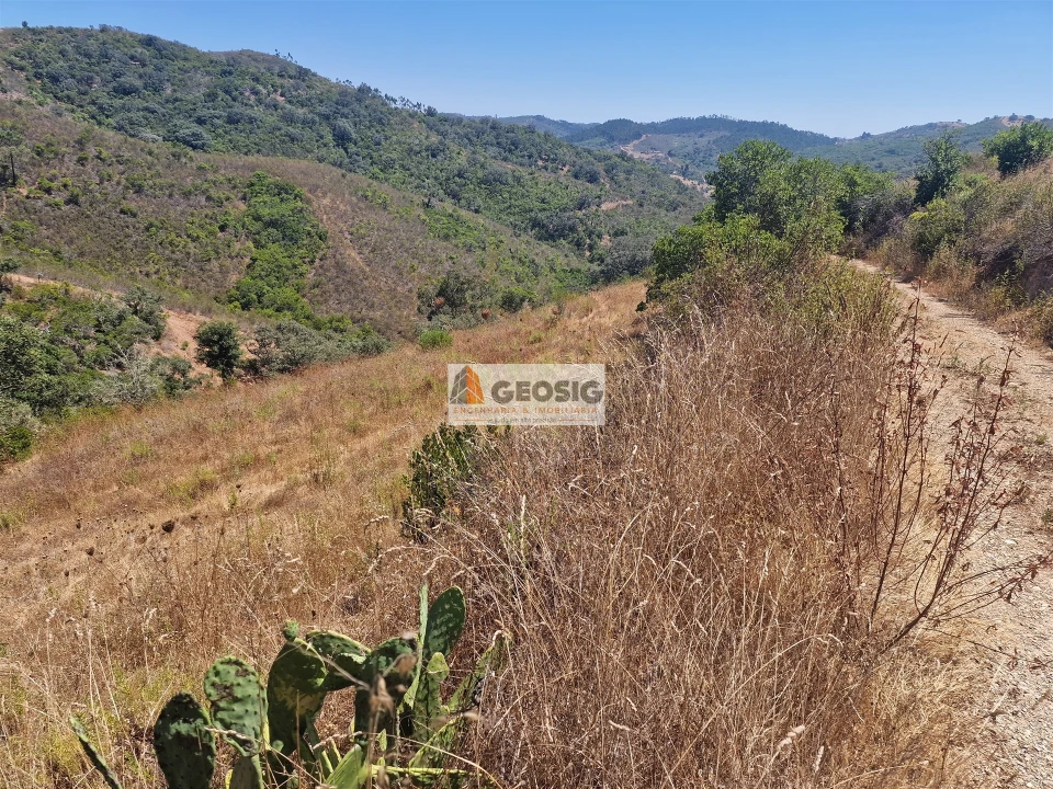 Terreno Agricola ou Rústico para Venda em Santana da Serra Foto 5