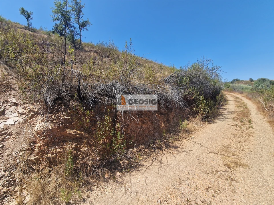 Terreno Agricola ou Rústico para Venda em Santana da Serra Foto 10