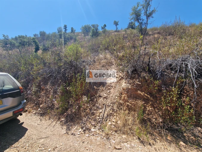 Terreno Agricola ou Rústico para Venda em Santana da Serra Foto 9