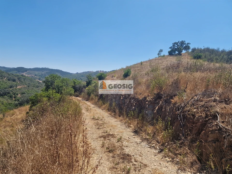 Terreno Agricola ou Rústico para Venda em Santana da Serra Foto 6