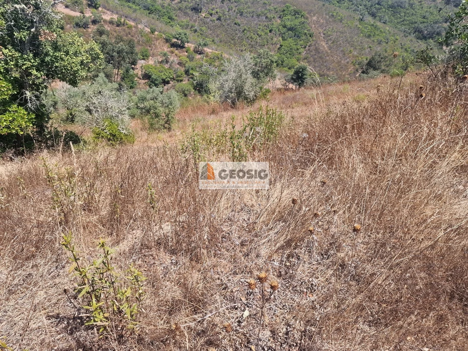 Terreno Agricola ou Rústico para Venda em Santana da Serra Foto 3