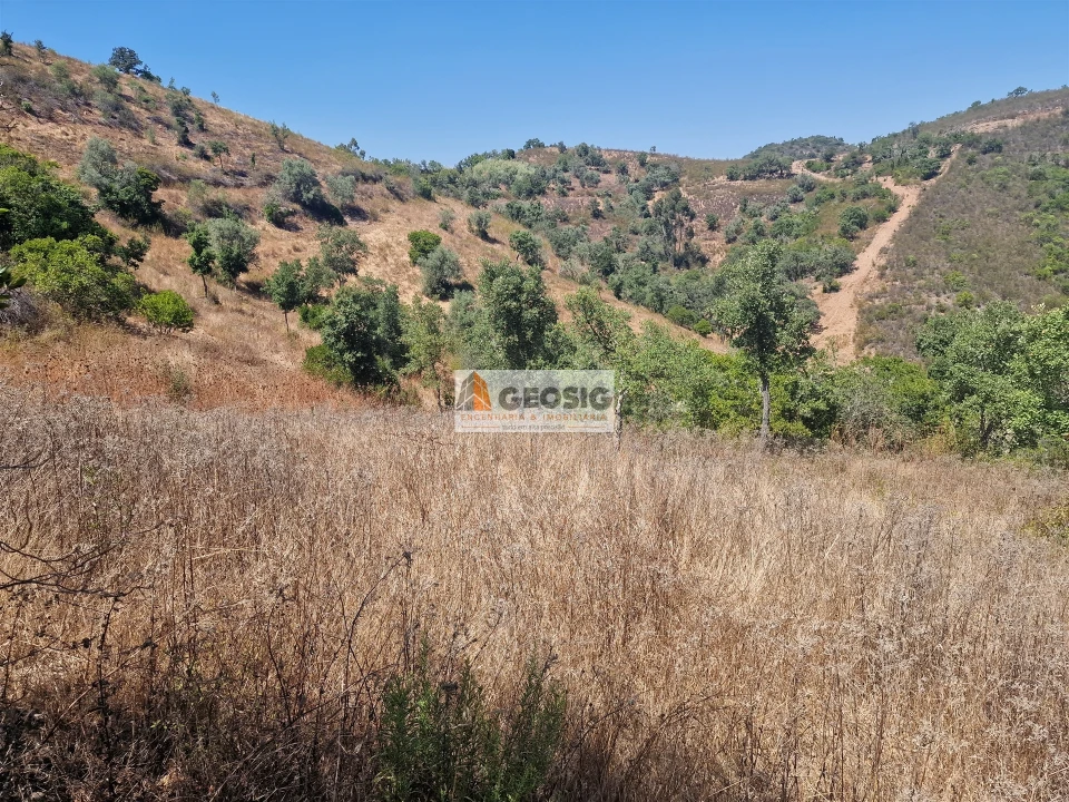 Terreno Agricola ou Rústico para Venda em Santana da Serra Foto 14