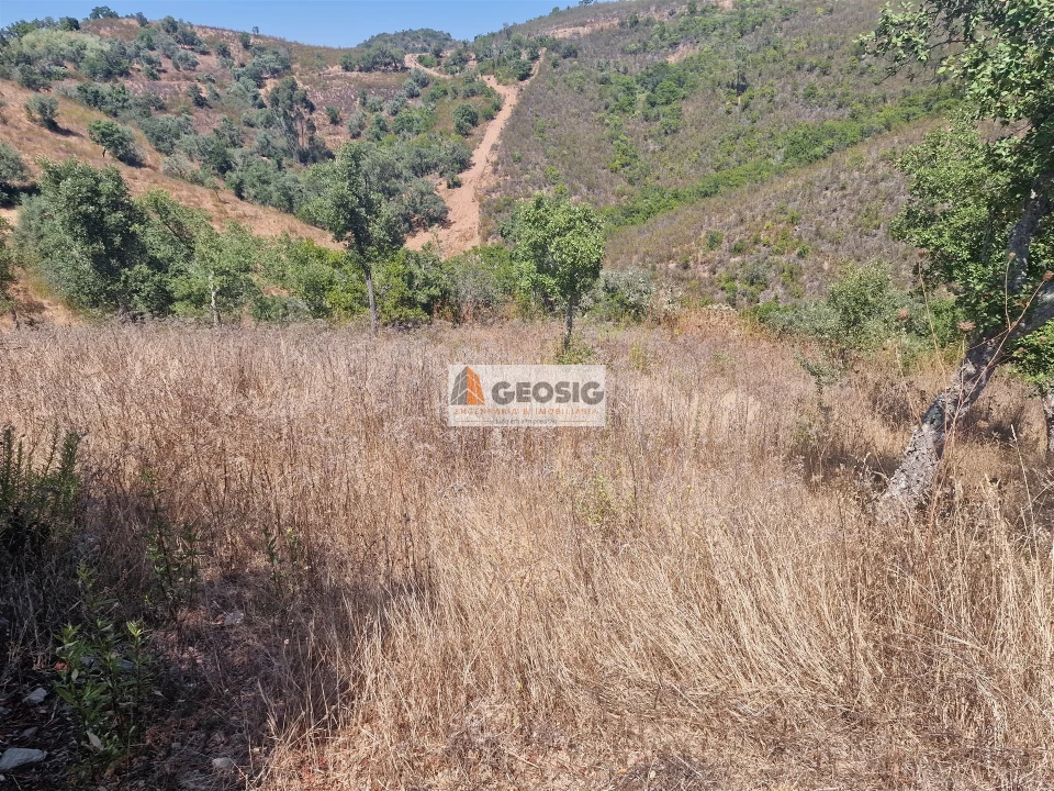 Terreno Agricola ou Rústico para Venda em Santana da Serra Foto 13
