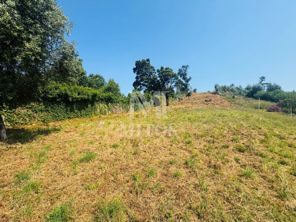 Terreno para Venda em Santa Maria Maior e Monserrate e Meadela Foto 8