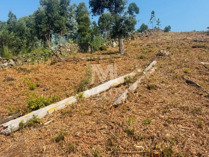 Terreno para Venda em Santa Maria Maior e Monserrate e Meadela Foto 7