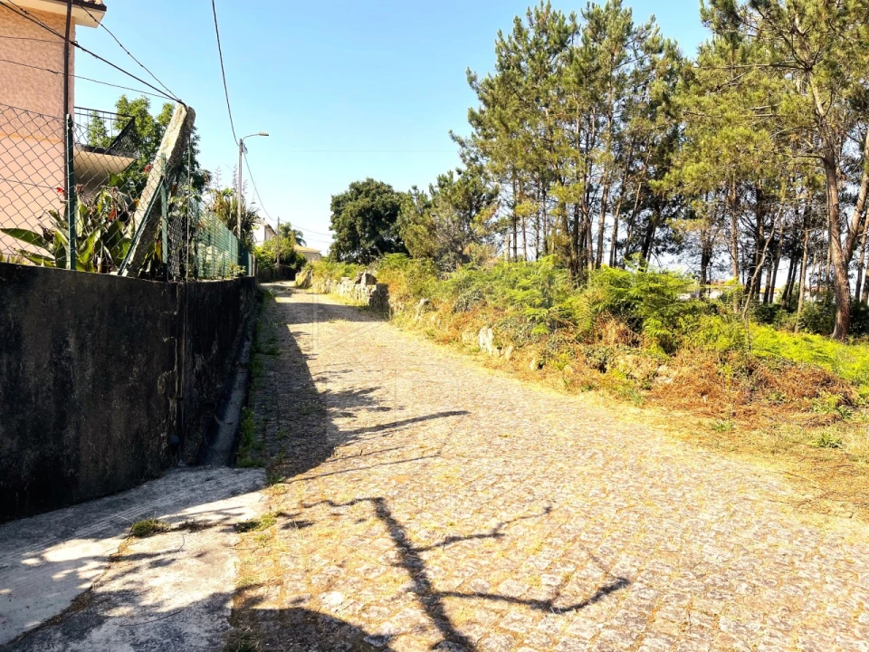 Terreno para Venda em Forjães Foto 1