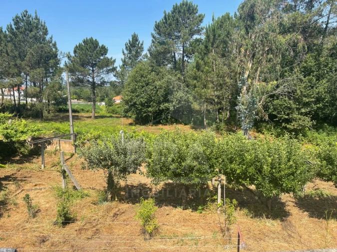 Terreno para Venda em Forjães Foto 4