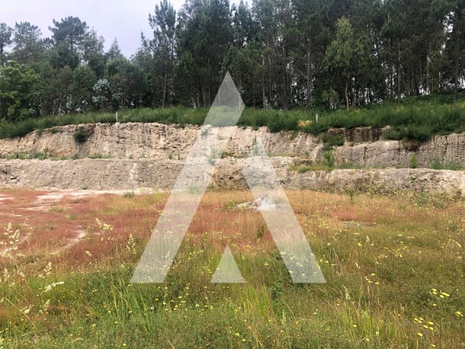 Terreno para Venda em Arosa e Castelões Foto 6