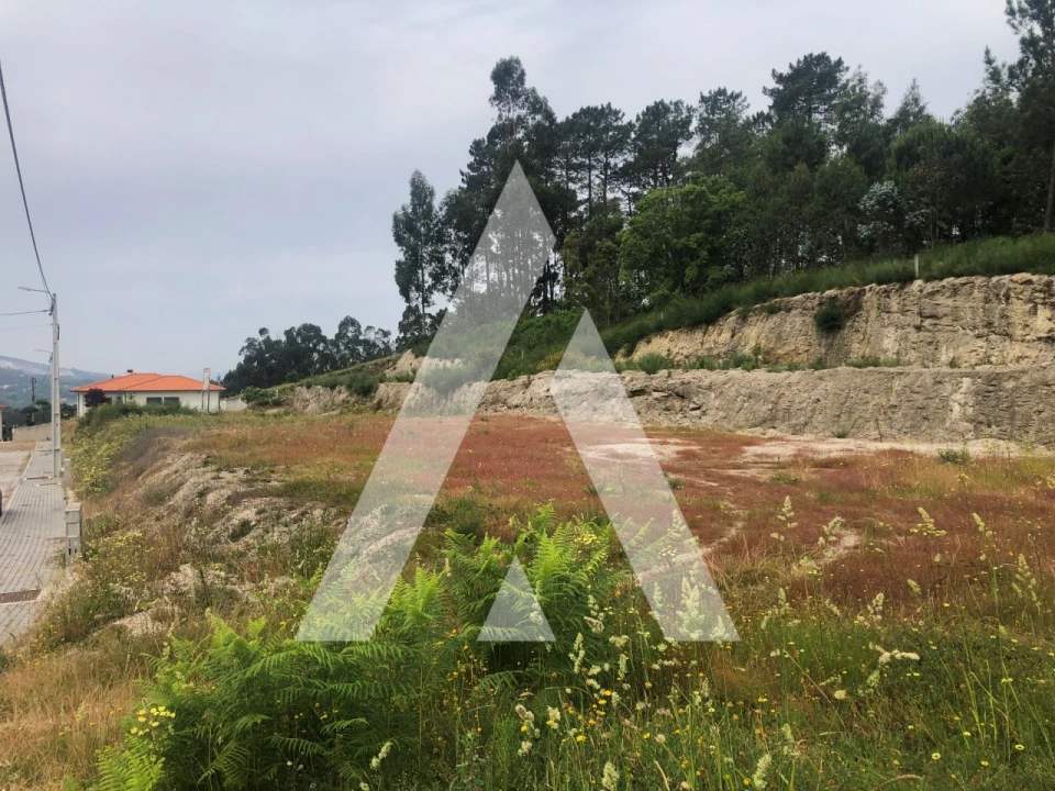 Terreno para Venda em Arosa e Castelões Foto 3