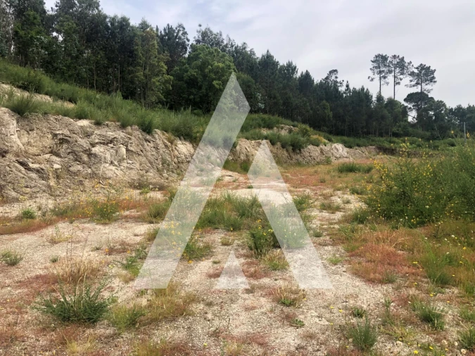 Terreno para Venda em Arosa e Castelões Foto 9