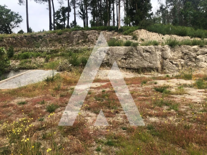 Terreno para Venda em Arosa e Castelões Foto 10