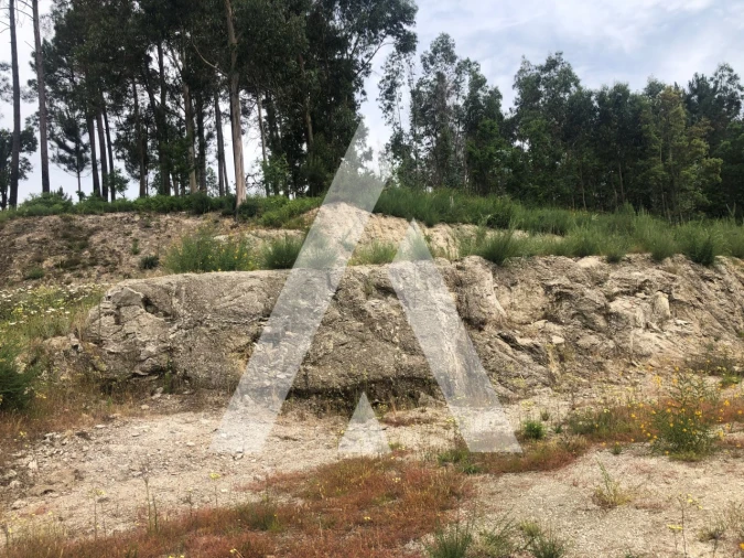 Terreno para Venda em Arosa e Castelões Foto 12