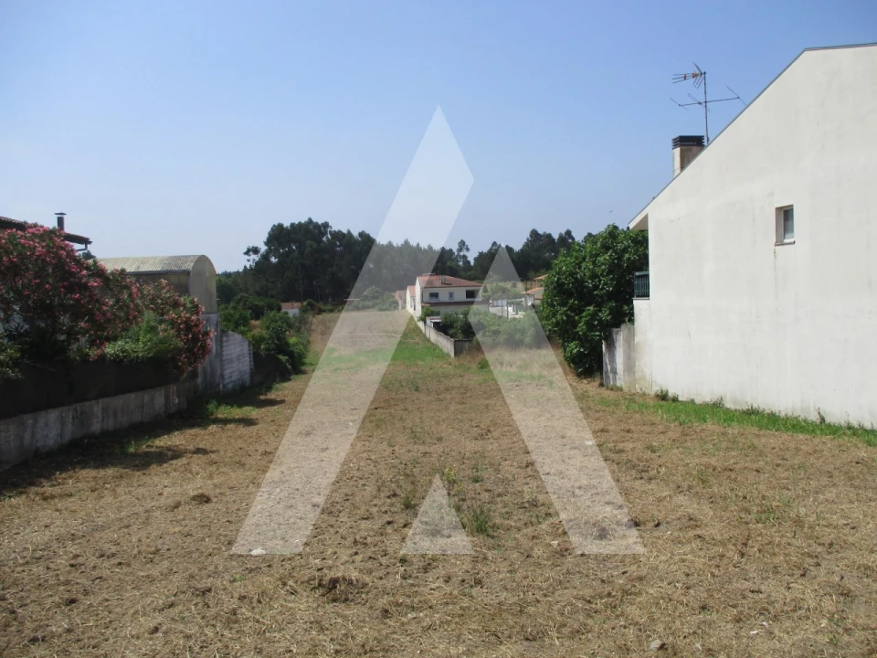 Terreno para Venda em Bustos, Troviscal e Mamarrosa Foto 5