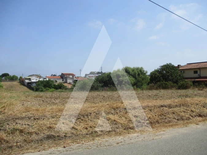 Terreno para Venda em Bustos, Troviscal e Mamarrosa Foto 4